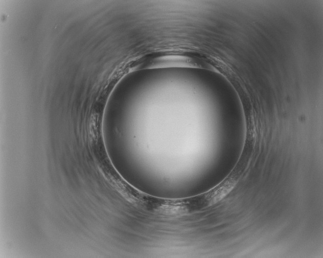 X0000057060280200509091205