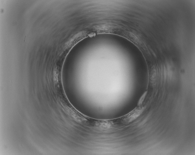 X0000057060282200509091205