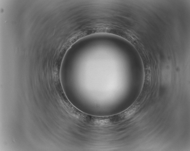 X0000057060283200509091205