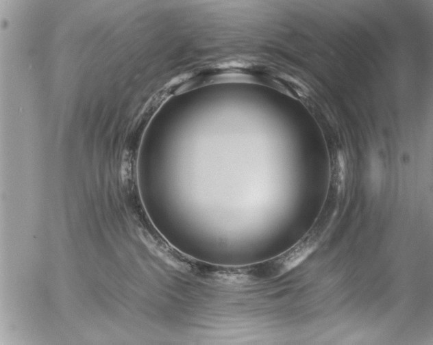 X0000057060284200509091205