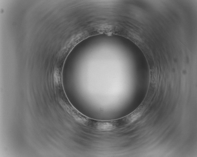 X0000057060287200509091205