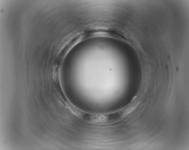 X0000057060288200509091205