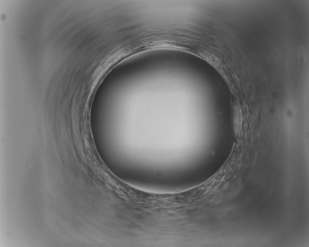 X0000057060289200509091204