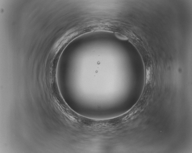 X0000057060291200509091204