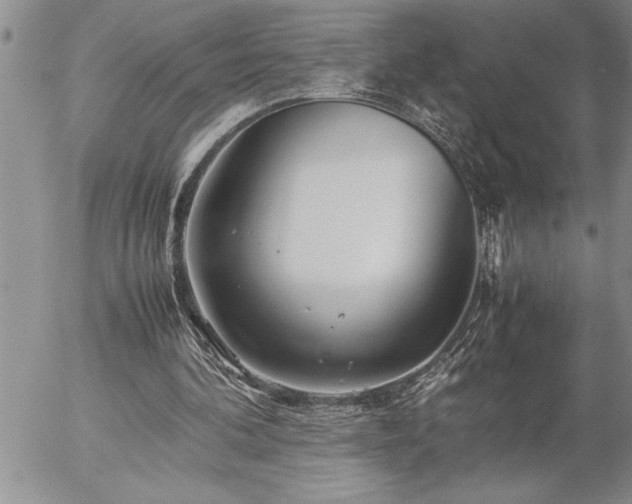 X0000057060292200509091204