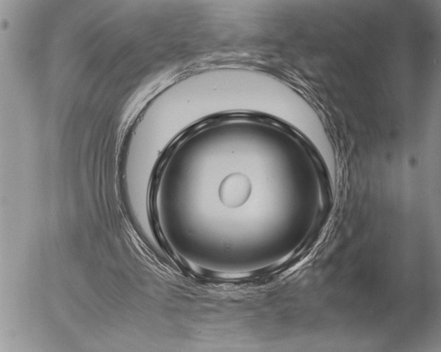 X0000057060293200509091204