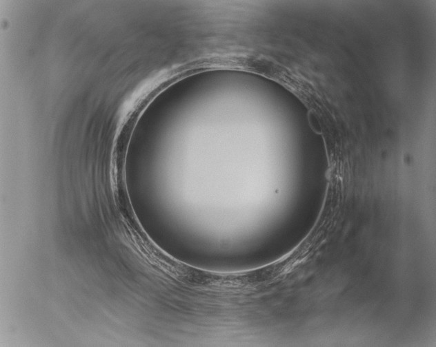 X0000057060294200509091204