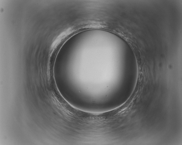 X0000057060296200509091204