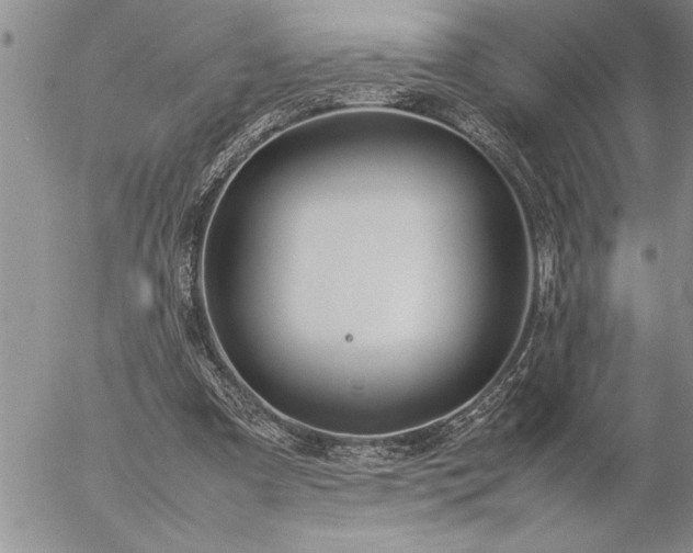 X0000057060297200509091204