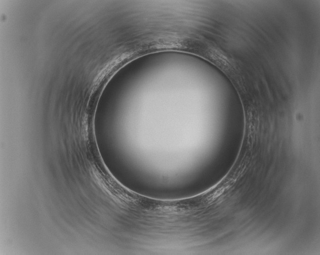 X0000057060298200509091204