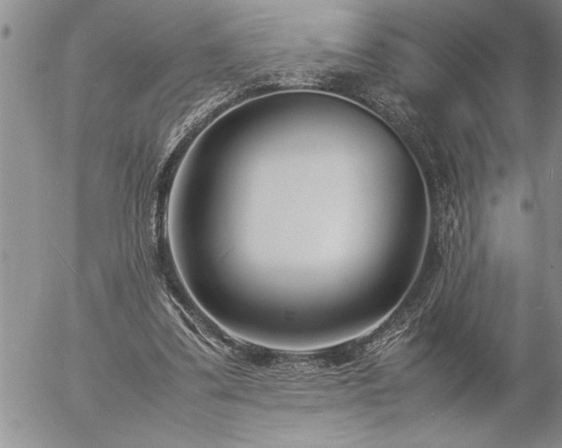 X0000057060299200509091204