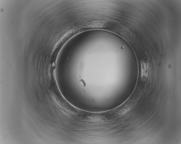 X0000057060300200509091204