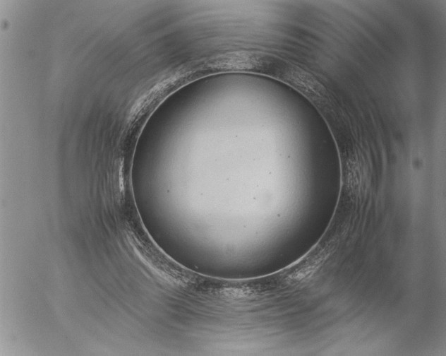 X0000057060302200509091204