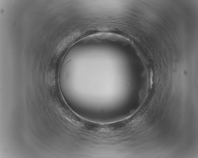 X0000057060303200509091204