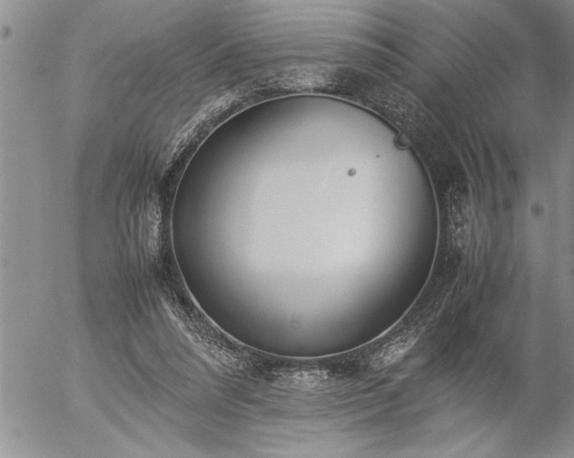 X0000057060304200509091204