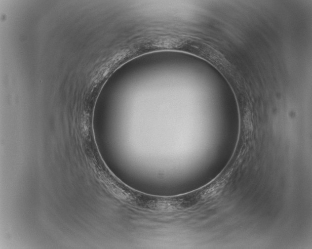 X0000057060305200509091204