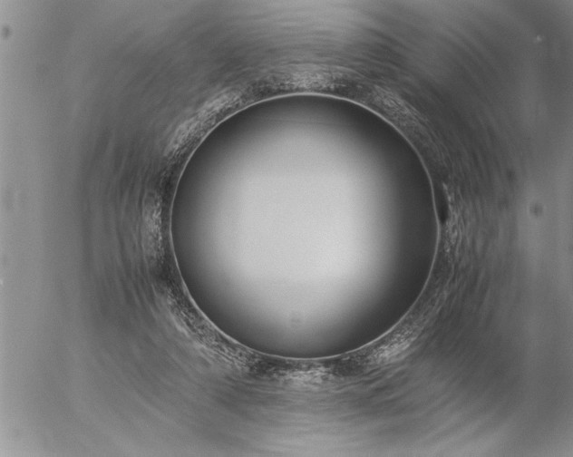 X0000057060306200509091204