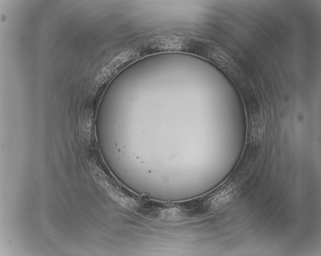 X0000057060309200509091204