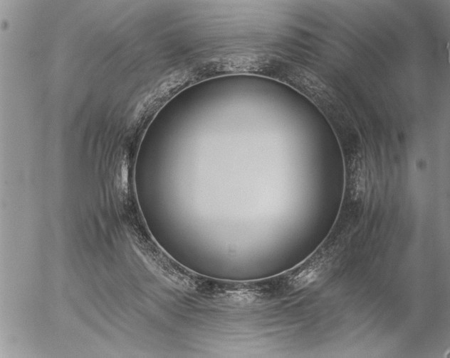 X0000057060310200509091204