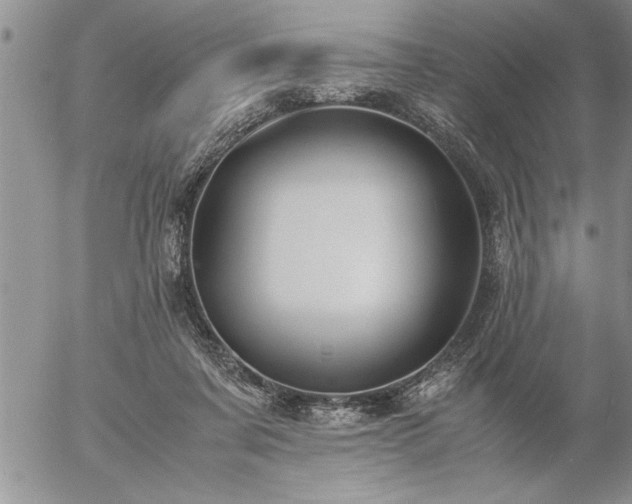 X0000057060311200509091204