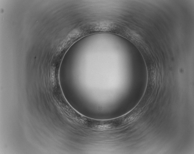 X0000057060312200509091204