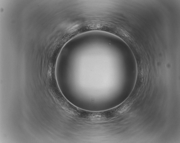 X0000057060315200509091203