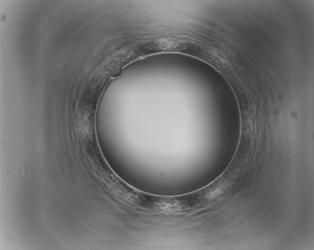 X0000057060317200509091203