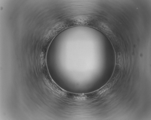 X0000057060318200509091203