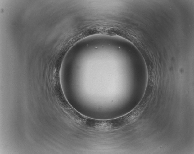 X0000057060319200509091203