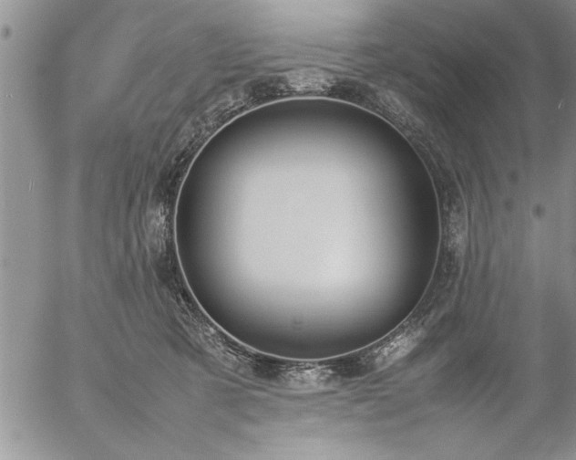 X0000057060321200509091203