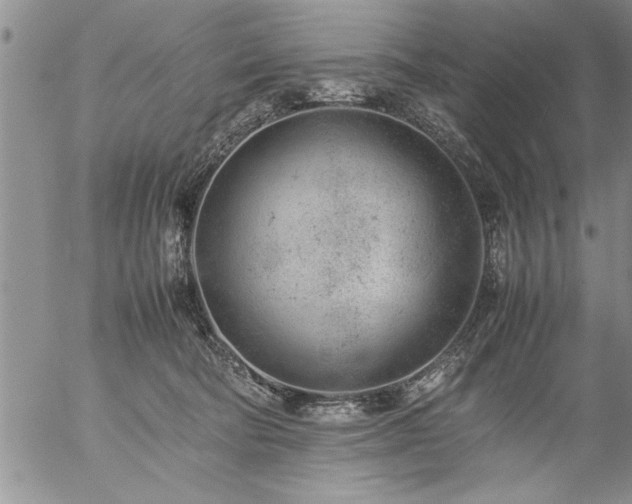 X0000057060322200509091203