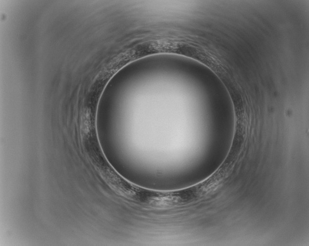 X0000057060323200509091203