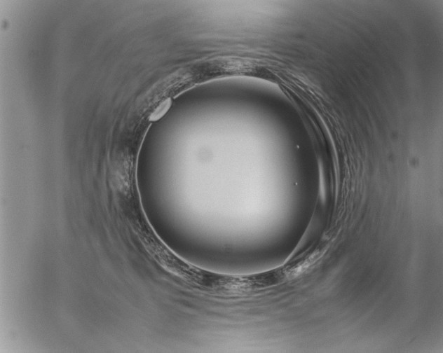 X0000057060325200509091203