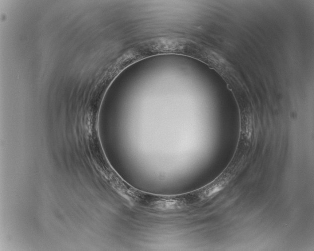 X0000057060326200509091203