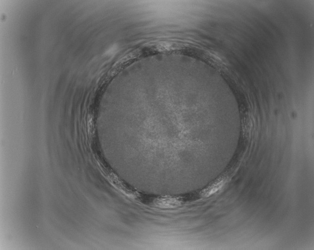 X0000057060327200509091203