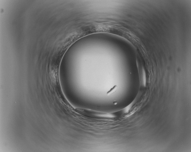 X0000057060329200509091203