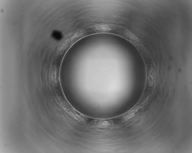 X0000057060330200509091203