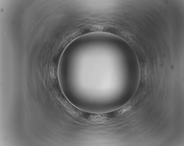 X0000057060331200509091203