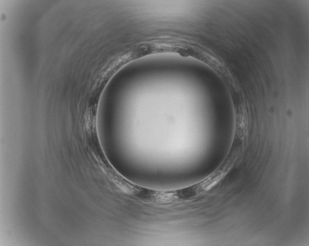 X0000057060333200509091203