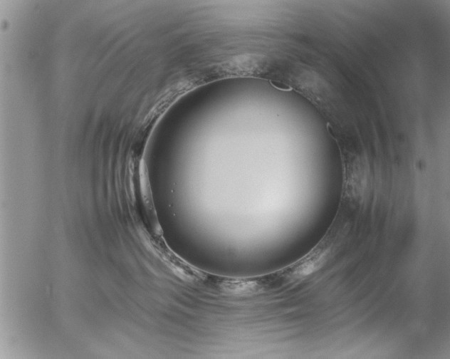 X0000057060334200509091203