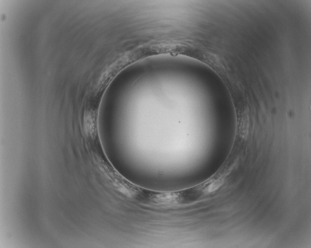 X0000057060335200509091203