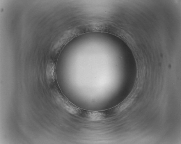 X0000057060336200509091203