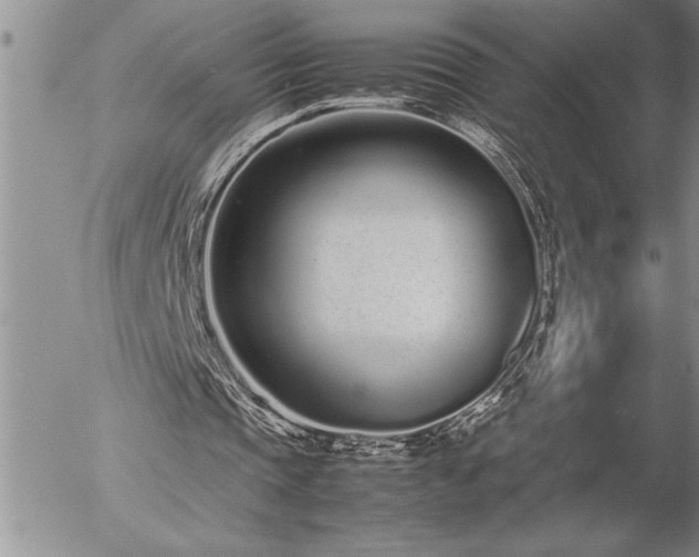 X0000057060337200509091202