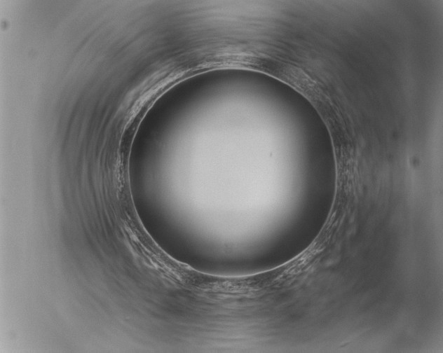 X0000057060338200509091202