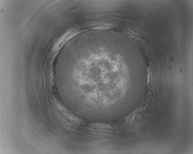 X0000057060339200509091202