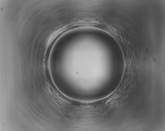 X0000057060340200509091202