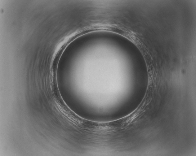 X0000057060342200509091202