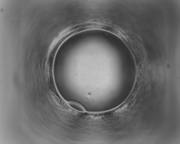 X0000057060343200509091202