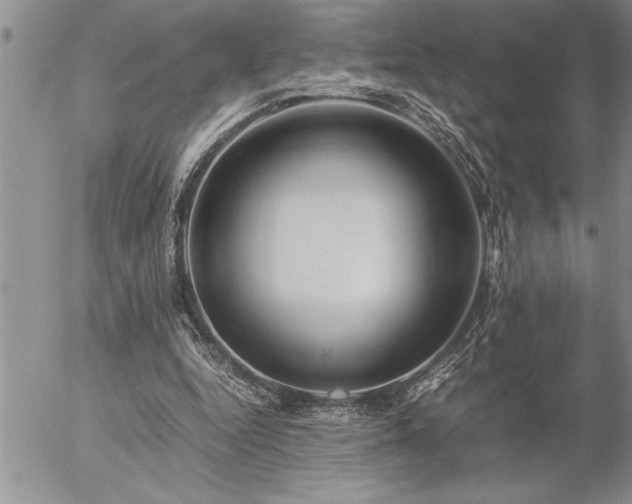 X0000057060344200509091202