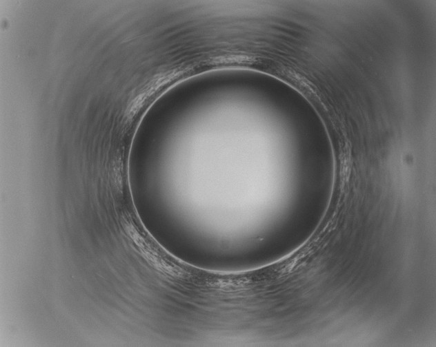 X0000057060345200509091202